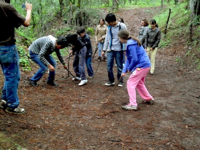 Actividades en el bosque